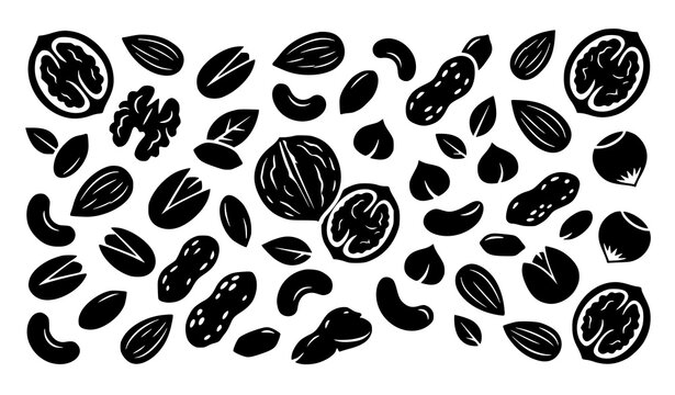 Pattern of various nut silhouettes, healthy organic food, walnut and peanut mix vector.