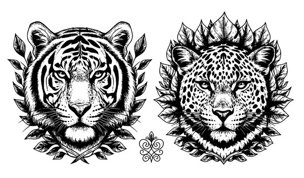 Artistic tiger and leopard head sketches, wild animal portrait, jungle wildlife vector illustration.