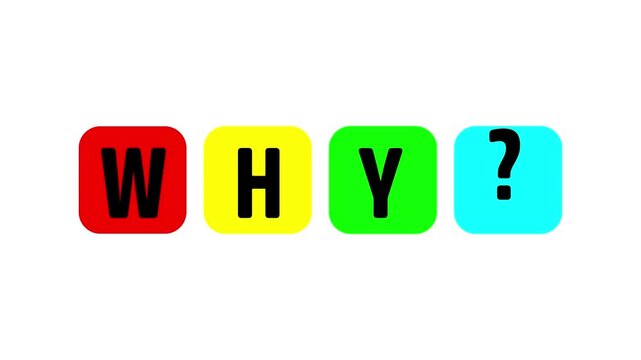 Animated why text with a clean, minimal style for question and curiosity concepts, education and classroom discussions, and business explanation or analysis content