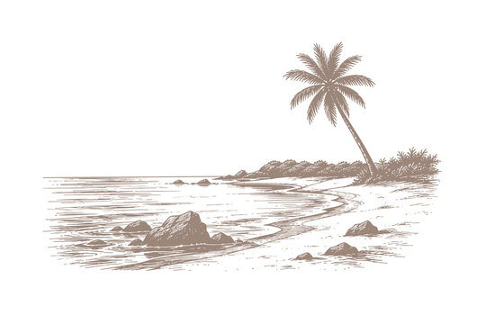 Vintage tropical island beach with single palm tree and rocky shoreline in hand drawn engraving style vector illustration for travel and summer design.