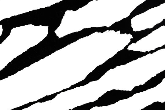 Ripped and torn white paper tear distressed texture transparent crumpled industrial overlay background