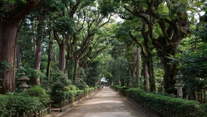 Fototapeta premium Serene Tree Lined Pathway Through Lush Green Japanese Garden.