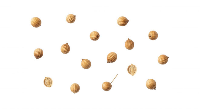 Scattered dry coriander seeds isolated on a solid black background, view of round brown spice grains arranged in a pattern