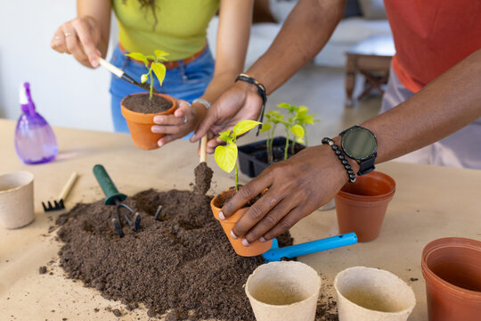 African American couple repotting seedlings at home table using terracotta pots and gardening tools