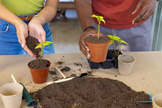 African American couple potting seedlings at table in home, using terracotta pots, soil, trowel
