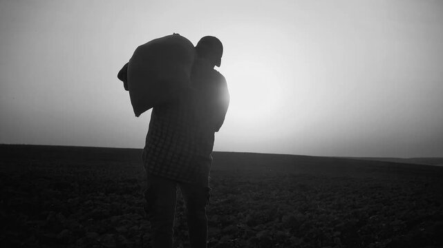 Silhouette of a male farmer with a sack of wheat on his shoulder. A male worker at sunset with a sack of fertilizer in his hand. The concept of farming, agriculture, hard work of workers.