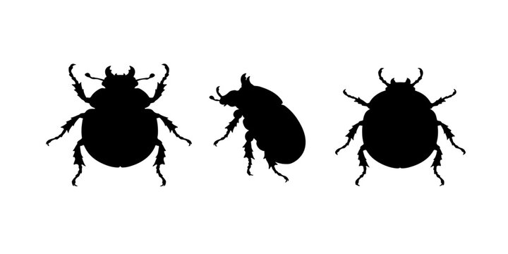 Modern Minimalist Beetle Silhouette Icon Collection Set