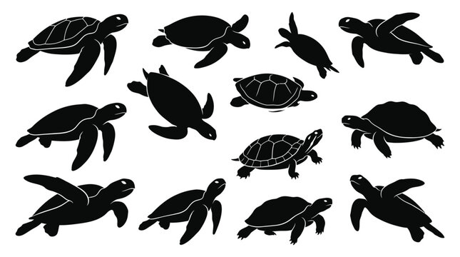 black turtle silhouettes on white background high quality
