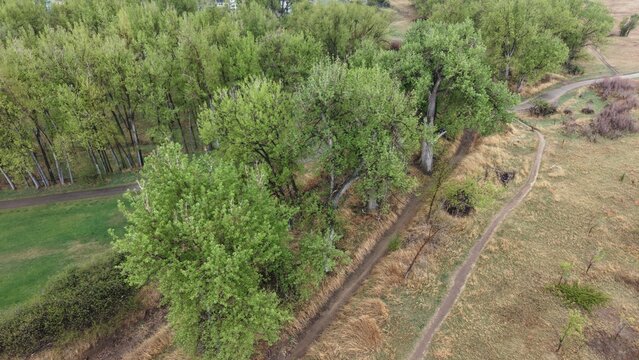 Aerial view of lush Louisville Colorado riparian forest trails beneath Rocky Mountain foothills spring landscape wilderness