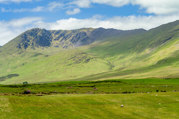 Obraz premium Sunlit mountains and green fields spread across the landscape near Killary Fjord in western Ireland. A broad rural panorama of the Connemara and Mayo border region.