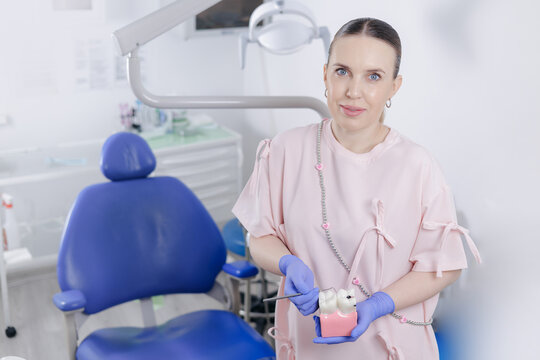 Female caucasian adult dentist holding dental model in clinic setting, concept treatment of caries and pulpitis of nerve canal