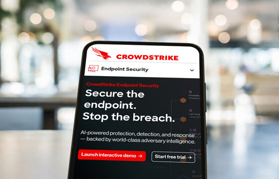 Crowdstrike cyber security company