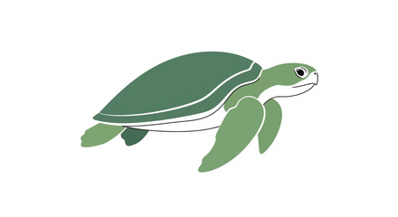 Green sea turtle swimming alone. © lasmini
