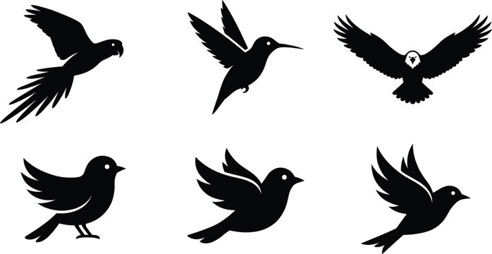 Set of black bird silhouettes including eagle parrot and hummingbird icons isolated on a white background.
