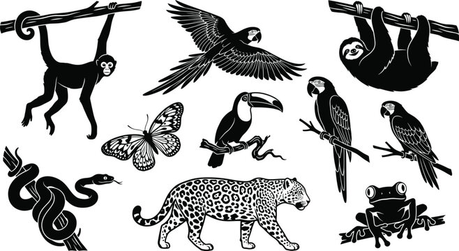Tropical rainforest animals silhouette vector collection featuring leopard monkey parrots toucan sloth and snake isolated on white background.