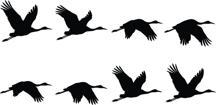 Black flying cranes silhouette vector collection showing different bird flight movement frames isolated on white background.