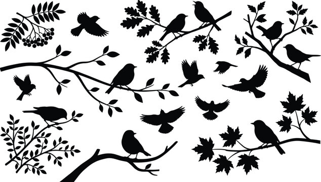 Black bird silhouettes on tree branches vectors collection featuring flying and perched garden birds with oak, maple, and rowan leaves.