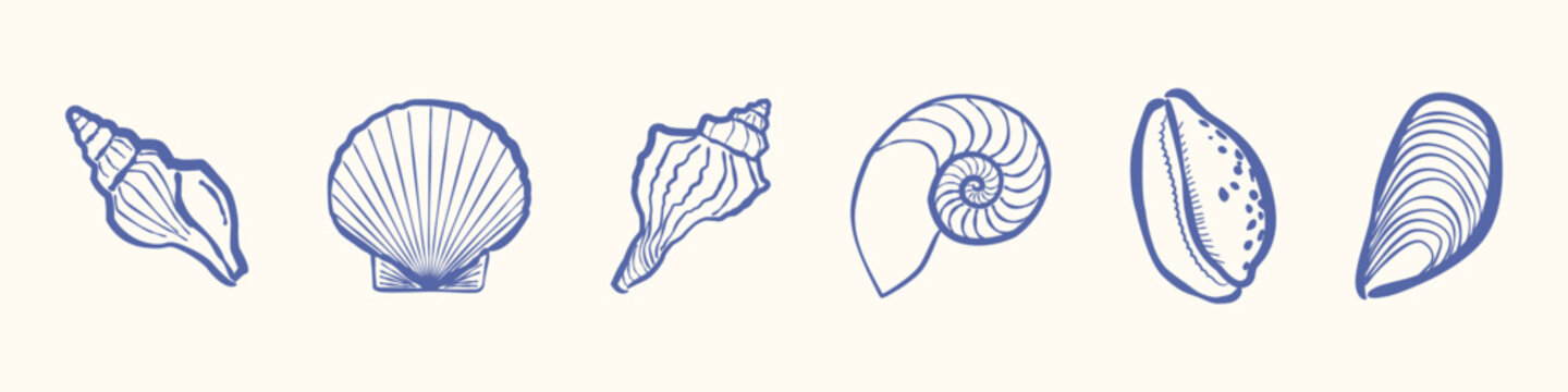 Collection of different seashell types in blue line art isolated on light background.