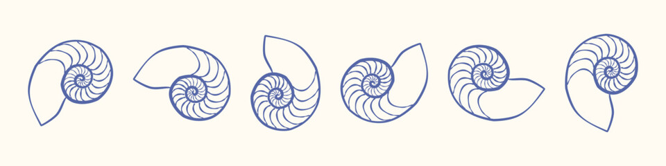 Blue line art nautilus shell variations with spiral marine patterns isolated on light background. © Olena Riabusheva