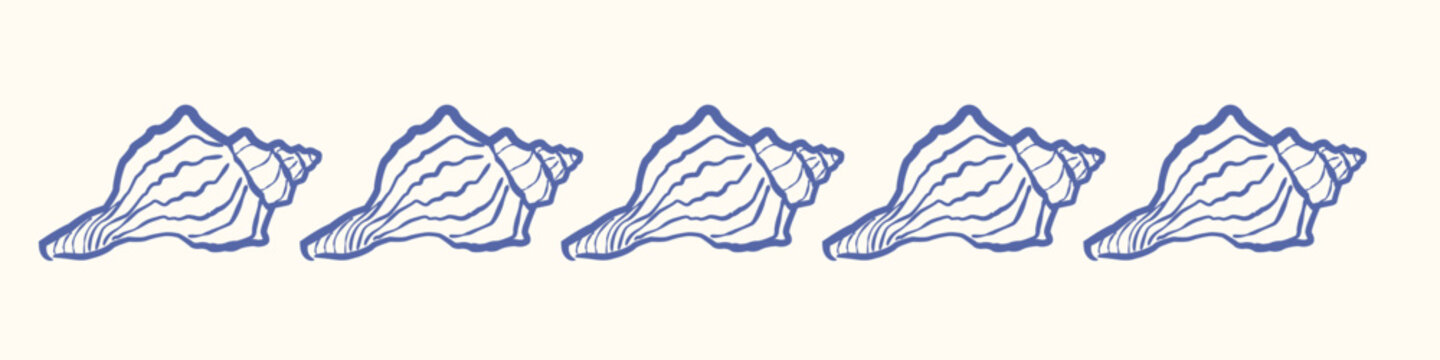 Elegant conch shell drawings in blue outline style isolated on minimal light background.