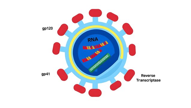 **HIV: A Retrospective on the Virus, Pathogenesis, and Global Impact**