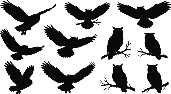 Owl silhouette collection with flying and perched owls isolated on gray background wildlife vector illustration