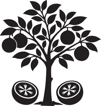 Black silhouette of orange tree with fruit Vector