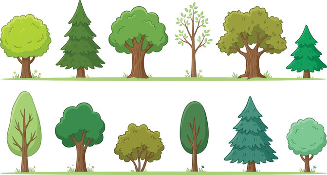 Colorful variety of different types of trees illustration on transparent background
