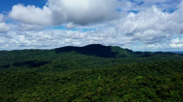 A large puffy white cloud is moving over a tropical forest canopy casting his black shadow on the tree crowns of the rainforest; green and blue nature background