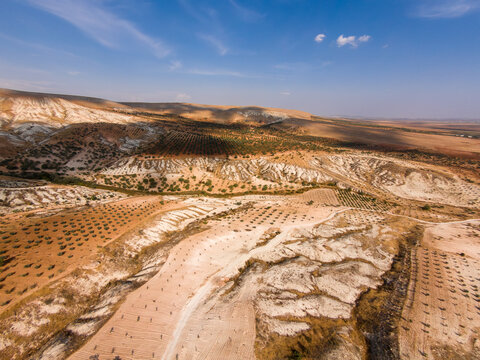 Pistachio orchards on heavily eroded semi-arid terrain with calcareous badlands formations. The landscape reflects soil degradation, dryland agriculture and desertification risk.