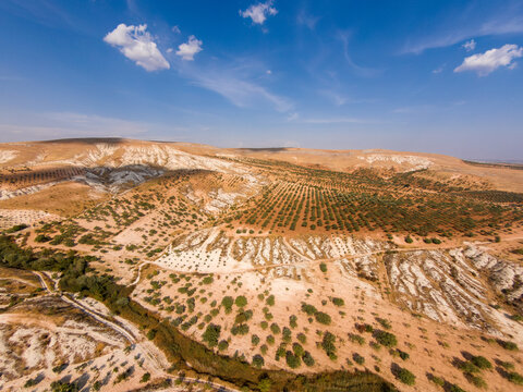Pistachio orchards on heavily eroded semi-arid terrain with calcareous badlands formations. The landscape reflects soil degradation, dryland agriculture and desertification risk.