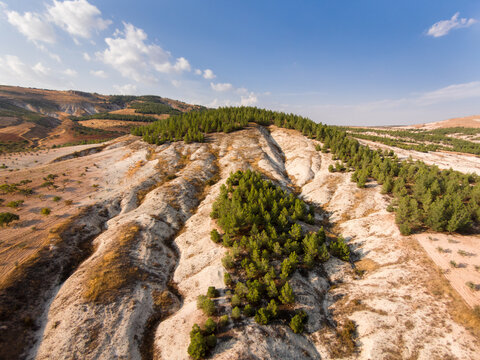 Pistachio orchards on heavily eroded semi-arid terrain with calcareous badlands formations. The landscape reflects soil degradation, dryland agriculture and desertification risk.