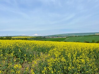 Fototapeta premium Auf dem Weg zur Ausgrabungsstätte Steinrinne Bilzingsleben