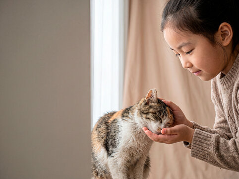 An Asian girl playing with her cat. International Cat Day.