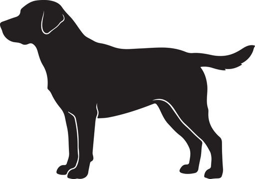 Black Labrador Retriever dog silhouette standing profile view, isolated on white background, vector illustration, no white areas, perfect for design and decoration.