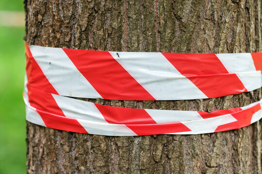 Absperrung mit Flatterband in einem Wald.