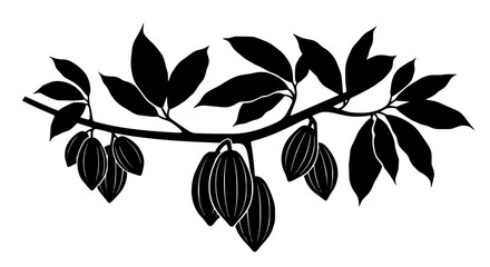 Obraz premium Cocoa Tree Branch with Pods and Leaves Silhouette Illustration