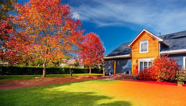 thermal imaging camera captures heat loss outside a house