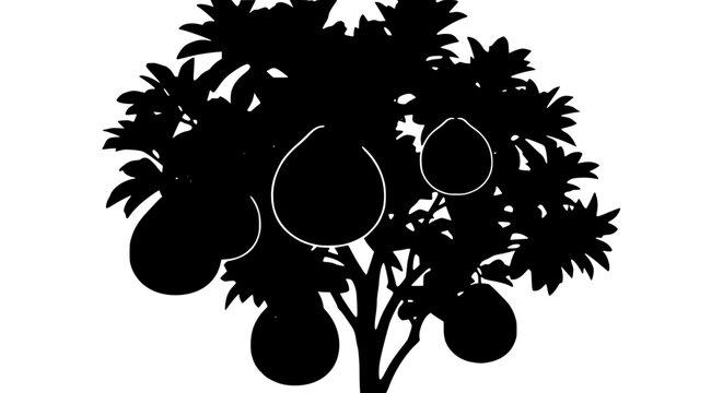 Black silhouette of a pomelo tree with large fruits on white background
