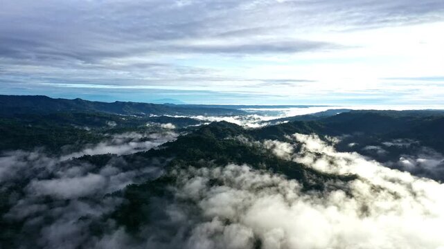 Aerial high angle view of a tropical forest covered in fog; rainforest at the foothills of the andes mountain range which is the start of the Amazon rainforest; a nature landscape or background