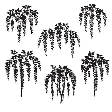 Gemini said

Collection of black and white floral vector elements and nature silhouettes featuring tropical palm leaves, pine trees, and forest plant outlines for botanical pattern design