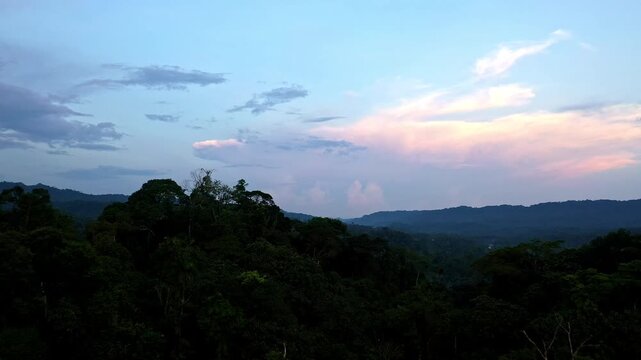 Flying over the black silhouettes of the tree crowns in a tropical forest with a beautiful cloudscape