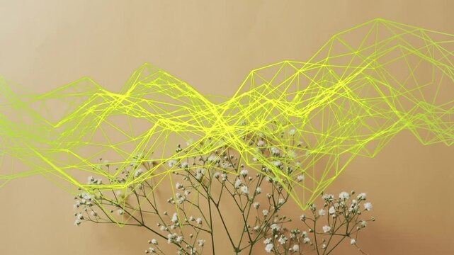 Neon mesh starting above gypsophila, undulating, rising, overlapping blooms, highlighting contrast