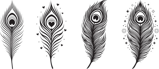 Decorative Peacock Feather Collection Featuring Elegant Heart Inspired Artistic Elements © PNG