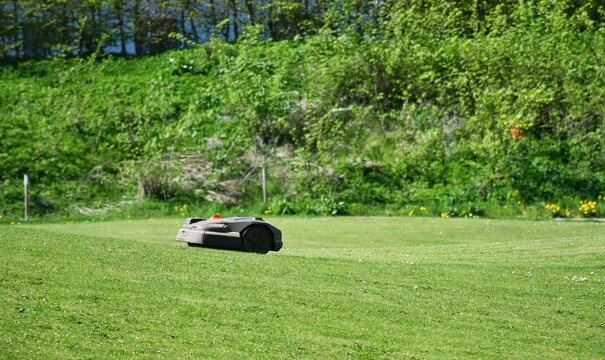The lawnmower robot mows the grass in the garden
