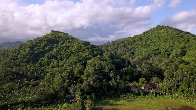 Aerial View of Scenic Tropical Lake with Lotus Flowers and Green Hills