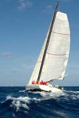 Sailing yacht regatta. Yachting. Sailing  © Alvov