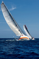 Sailing yacht regatta. Yachting. Sailing  © Alvov
