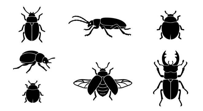 Set of 7 Black Insect Silhouettes, Vector Icons: Beetles, Bugs, and Arthropods for Nature and Science Graphics
