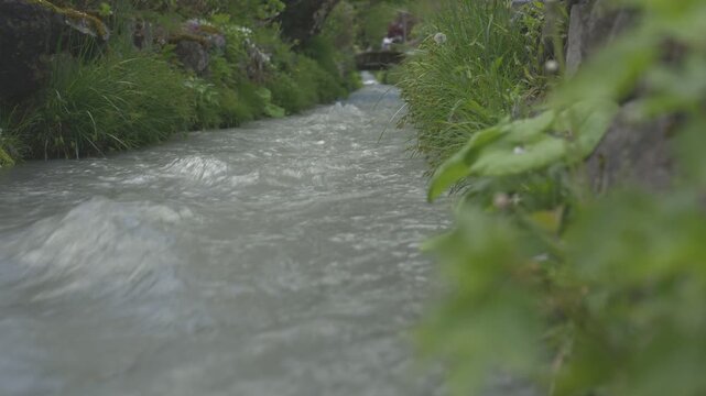 水路を流れる雨上がりの水